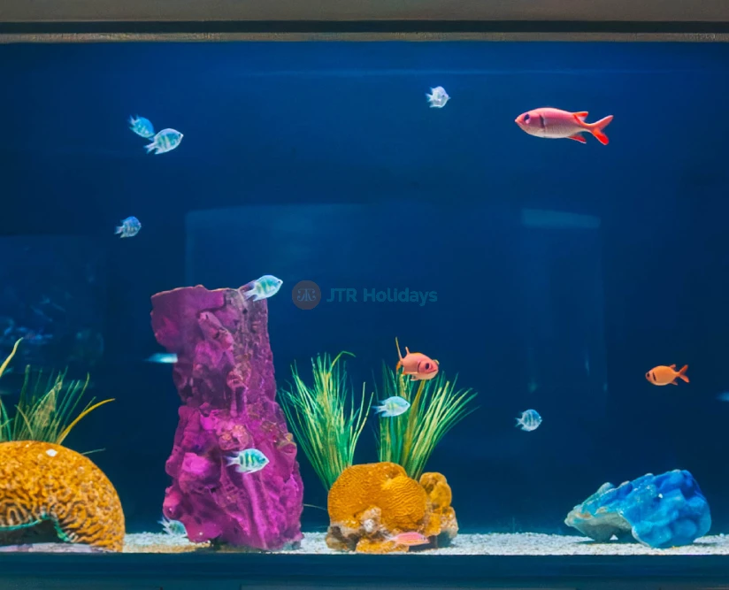 Aquarium of Guam - Image 2 of 5