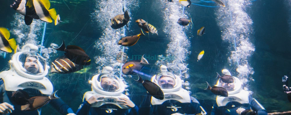 Aquarium of Guam - Image 3 of 5