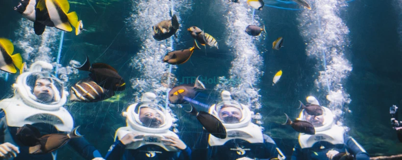 Aquarium of Guam - Discover the beauty of the ocean at the Aquarium of Guam, where you can walk through a 7-foot-wide acrylic tunnel and get up close to sharks, rays, and more. Explore fascinating exhibits featuring jellyfish, Moray eels, and exotic marine species. Enjoy a peaceful break at the Splash Bar & Cafe, overlooking a moonlit lagoon. Perfect for families and marine life enthusiasts, the Aquarium of Guam offers an unforgettable underwater experience. Aquarium of Guam - Image 3 of 5
