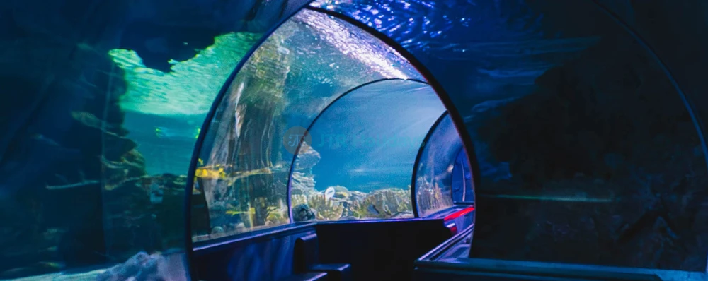 Aquarium of Guam - Image 4 of 5