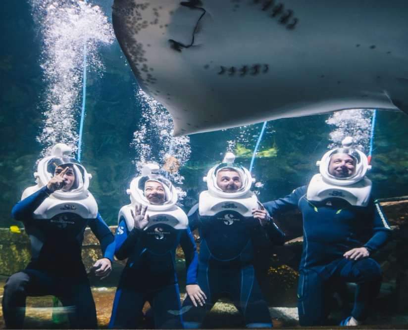 Aquarium of Guam - Image 5 of 5