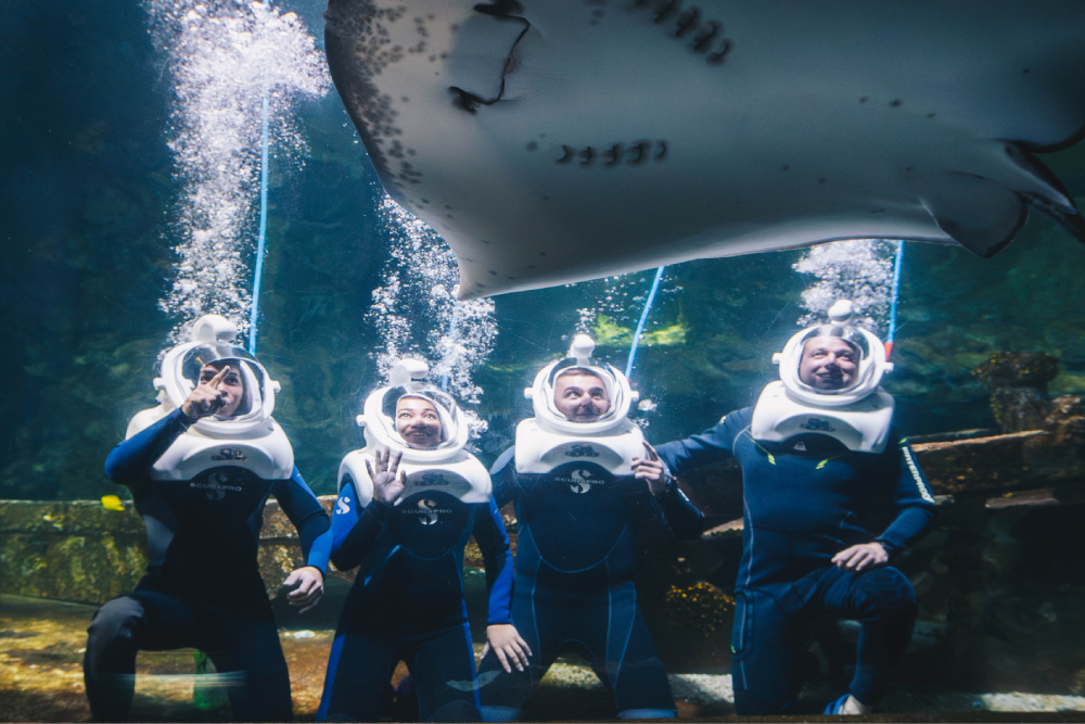 Aquarium of Guam - Image 5 of 5