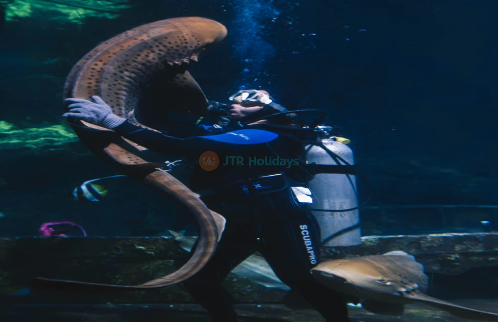 Aquarium of Guam - Image 6 of 6