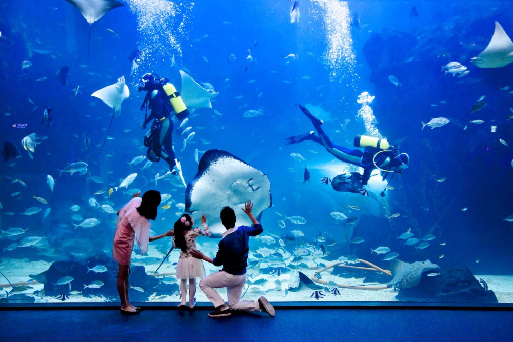 Aqua Planet Ilsan - Image 1 of 5