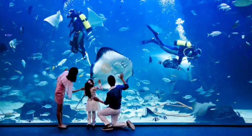 Aqua Planet Ilsan - Image 1 of 6