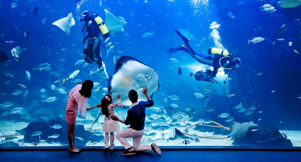 Aqua Planet Ilsan - Imagen 1 de 5