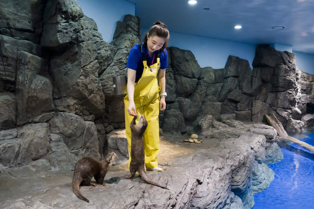 Aqua Planet Ilsan - Image 3 of 6