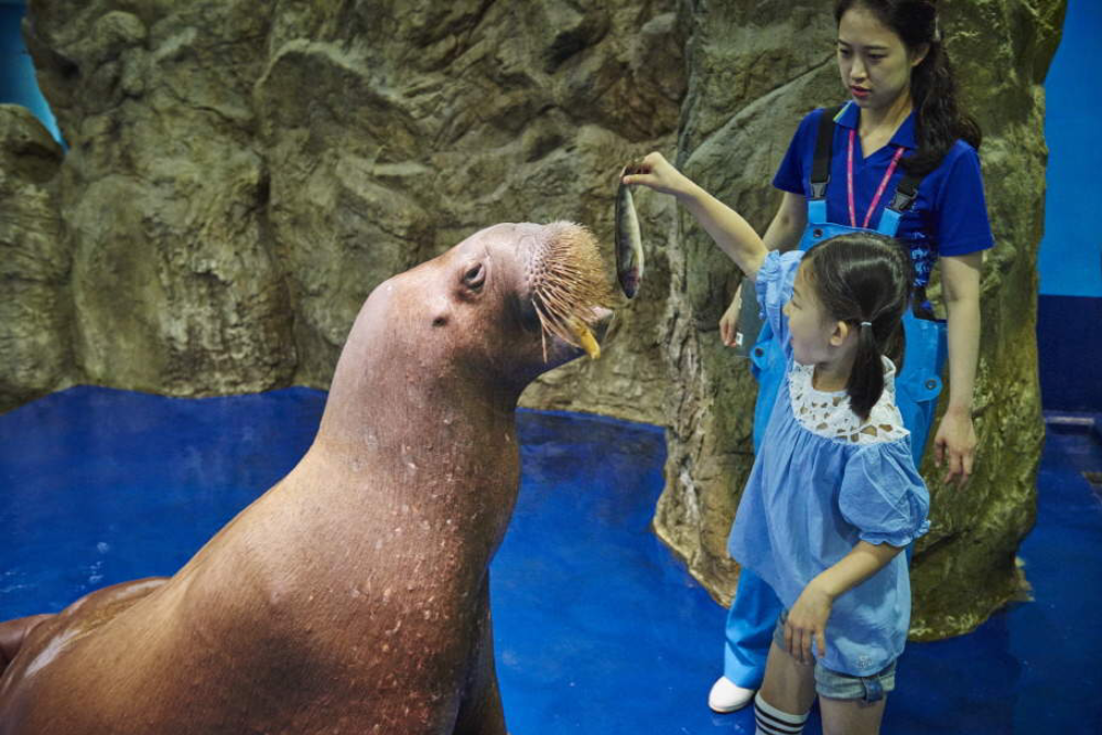 Aqua Planet Ilsan - Image 4 of 5