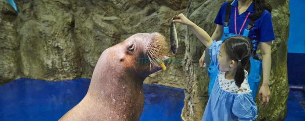 Aqua Planet Ilsan - Explore Underwater Wonders & Unique Marine Life - JTR Holidays - Image 4 of 5