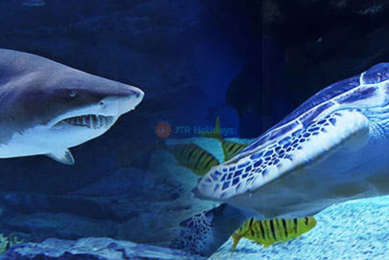 Aqua Planet Ilsan - Image 6 of 6