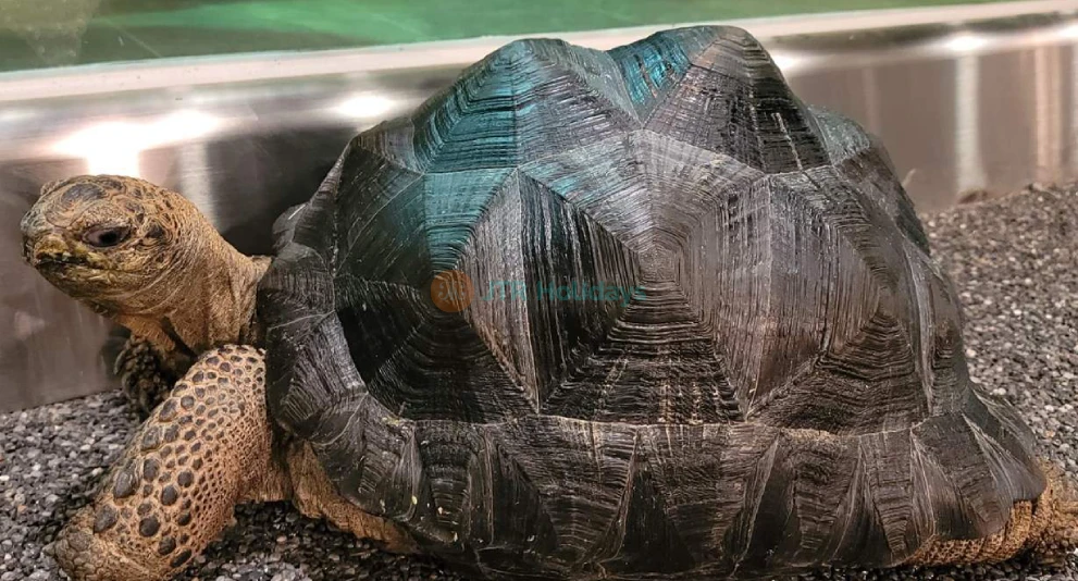 SeenB Indoor Animal Park Gyeonggi - Unique Wildlife & Aqua Garden Experience - JTR Holidays - Image 1 of 5