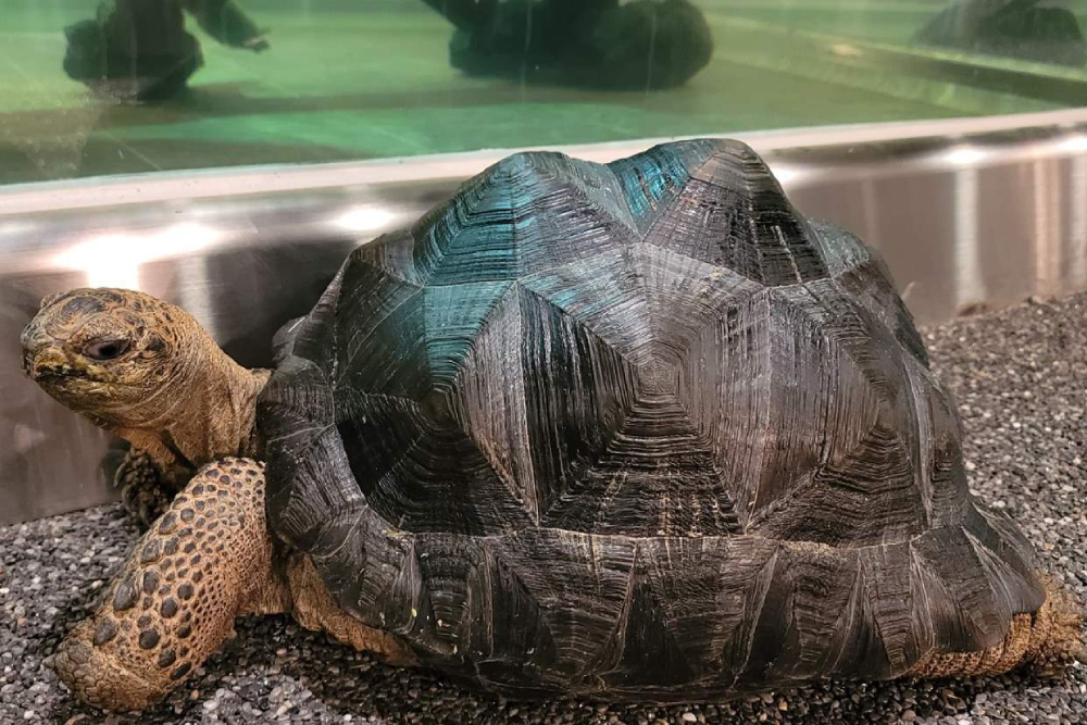 Seenb Indoor Animal Park Gyeonggi - Image 1 of 5