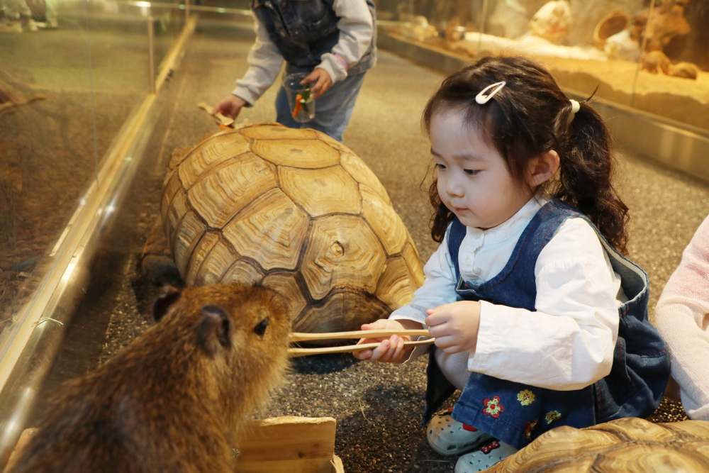 Seenb Indoor Tierpark Gyeonggi - Entdecken Sie die Magie des SeenB Indoor Tierparks Gyeonggi, einem einzigartigen Zoo, in dem Sie seltene Vögel, bunte Fische und verspielte Tiere treffen können. Der SeenB Indoor Tierpark Gyeonggi bietet ein unvergessliches Erlebnis mit seiner wunderschönen Blumen-Zone und der Infinity-Zone, perfekt für Fotos. Erkunden Sie den friedlichen Aquagarten, Heimat beeindruckender Unterwasserlebewesen. Der SeenB Indoor Tierpark Gyeonggi ist ein Muss für Tierliebhaber und Familien. Genießen Sie eine natürliche Auszeit im SeenB Indoor Tierpark Gyeonggi und schaffen Sie bleibende Erinnerungen! Seenb Indoor Tierpark Gyeonggi - Bild 3 von 5