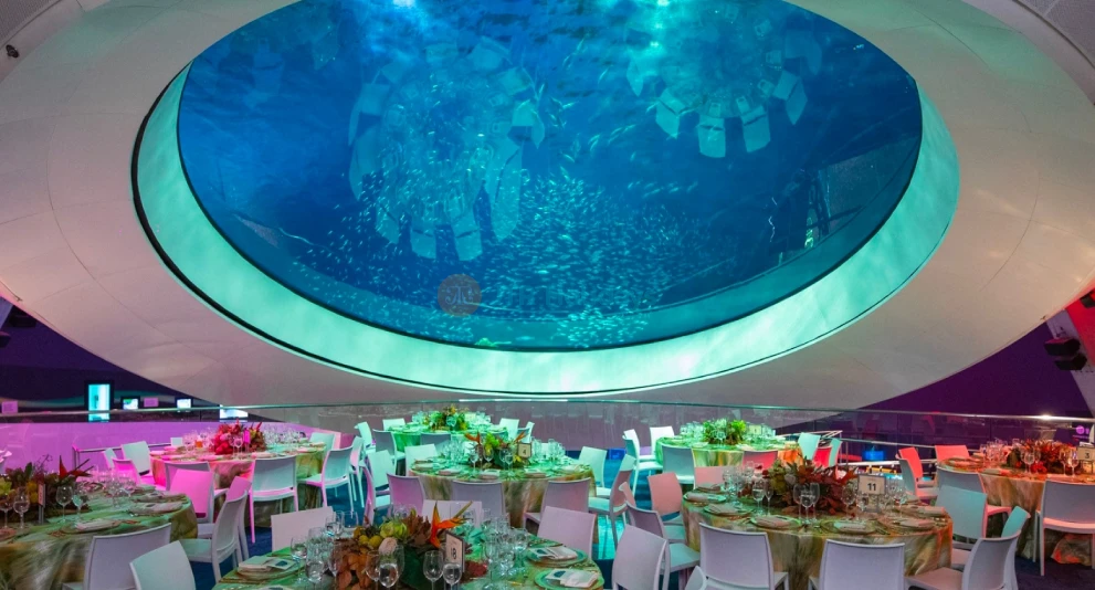 Phillip & Patricia Frost Museum of Science - Explore Miami's Top Science Museum-JTR Holidays - Image 1 of 5