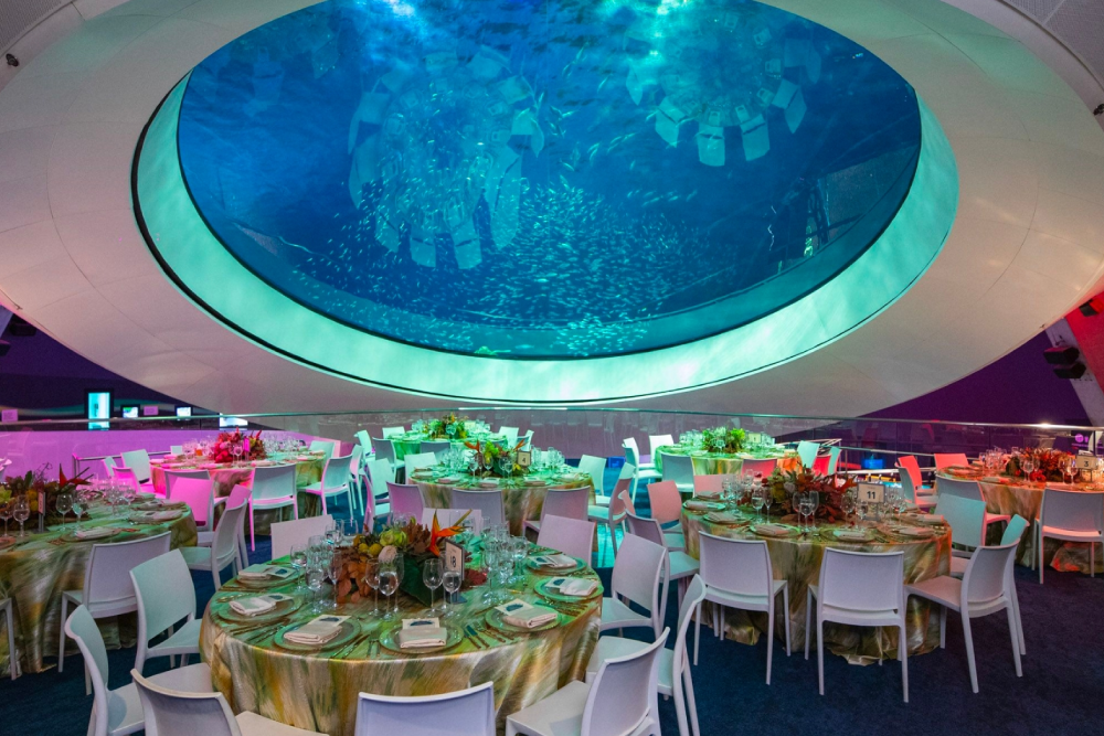 Phillip & Patricia Frost Museum of Science Ticket - Visit the Phillip & Patricia Frost Museum of Science in Miami for an unforgettable journey through science and discovery. Explore a 3-level aquarium, interactive exhibits, and immersive planetarium shows. Get up close with marine life, including stingrays, sharks, and jellyfish, and experience the awe-inspiring 30-foot Yutyrannus Huali dinosaur. Learn about aviation pioneers and embark on a simulated Mars landing. Perfect for visitors of all ages, this museum offers endless opportunities to explore and learn. Phillip & Patricia Frost Museum of Science Ticket - Image 1 of 5