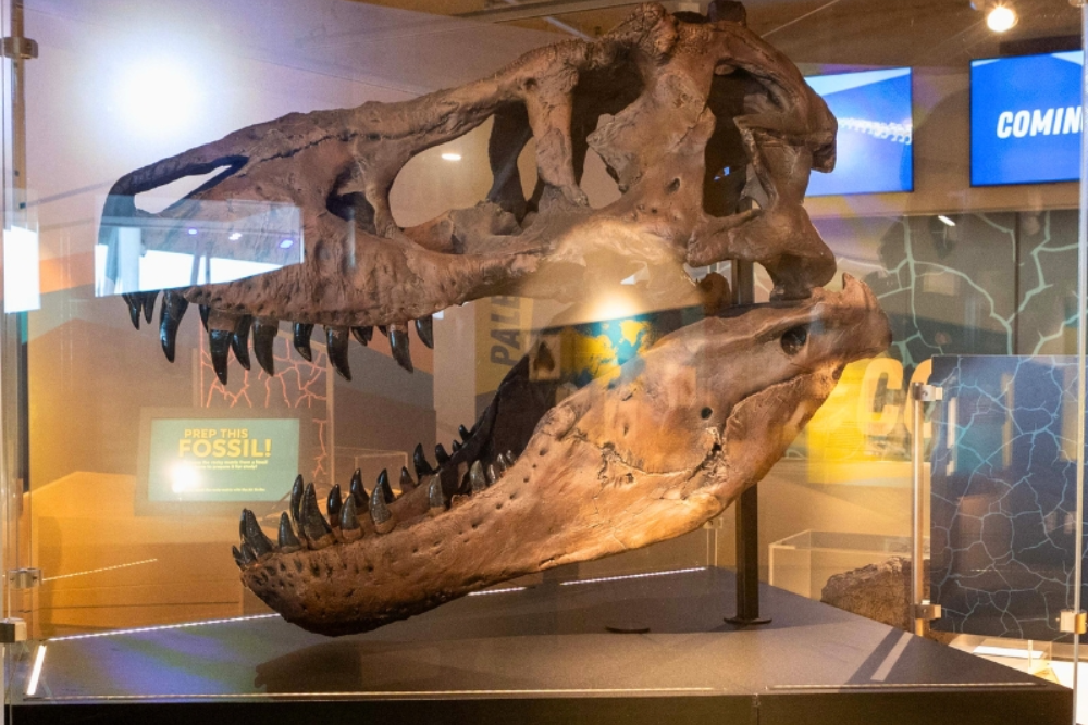 菲利普与帕特里夏·弗洛斯特科学博物馆门票 - 图片 2 的 5