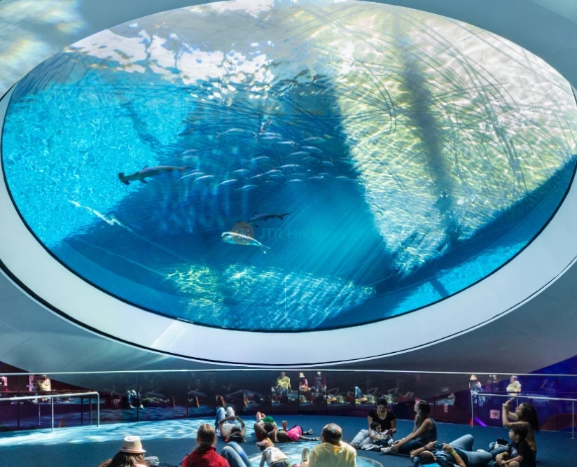 Phillip & Patricia Frost Museum of Science - Explore Miami's Top Science Museum-JTR Holidays - Image 5 of 5