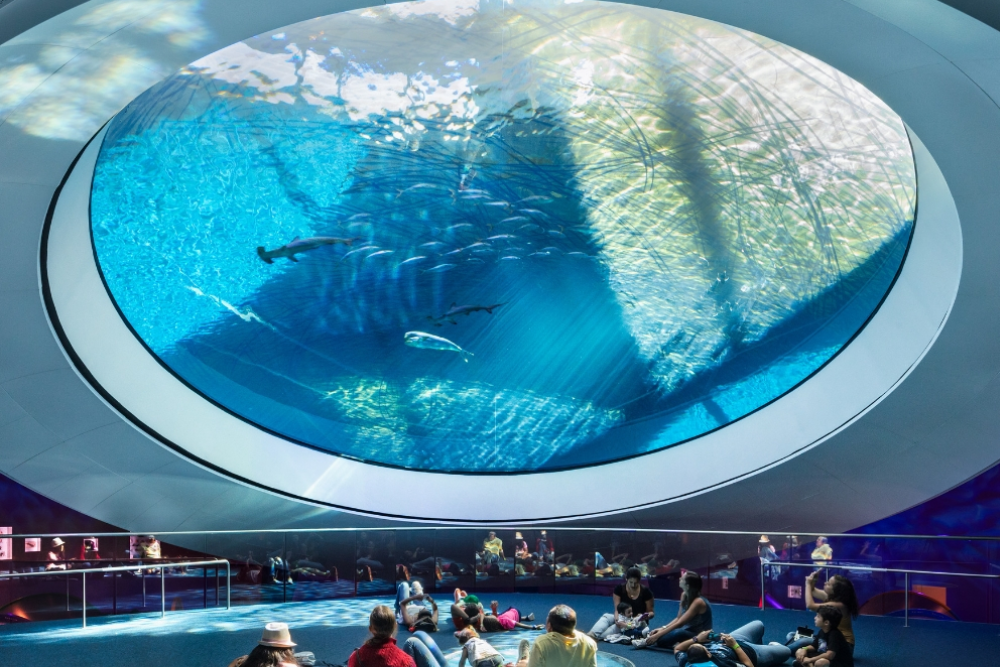 Phillip & Patricia Frost Museum of Science Ticket - Visit the Phillip & Patricia Frost Museum of Science in Miami for an unforgettable journey through science and discovery. Explore a 3-level aquarium, interactive exhibits, and immersive planetarium shows. Get up close with marine life, including stingrays, sharks, and jellyfish, and experience the awe-inspiring 30-foot Yutyrannus Huali dinosaur. Learn about aviation pioneers and embark on a simulated Mars landing. Perfect for visitors of all ages, this museum offers endless opportunities to explore and learn. Phillip & Patricia Frost Museum of Science Ticket - Image 5 of 5