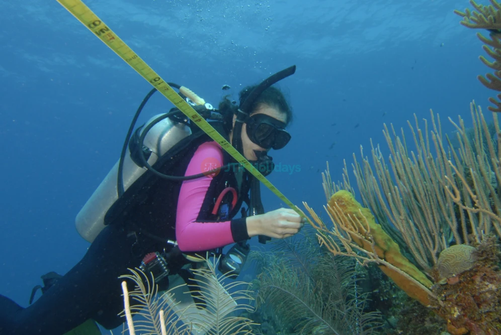 Phillip & Patricia Frost Museum of Science - Explore Miami's Top Science Museum-JTR Holidays - Image 8 of 9
