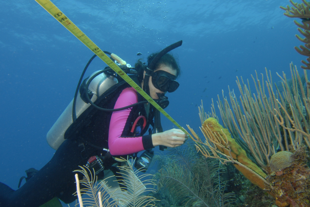 菲利普与帕特里夏·弗洛斯特科学博物馆门票 - Image 8 of 9