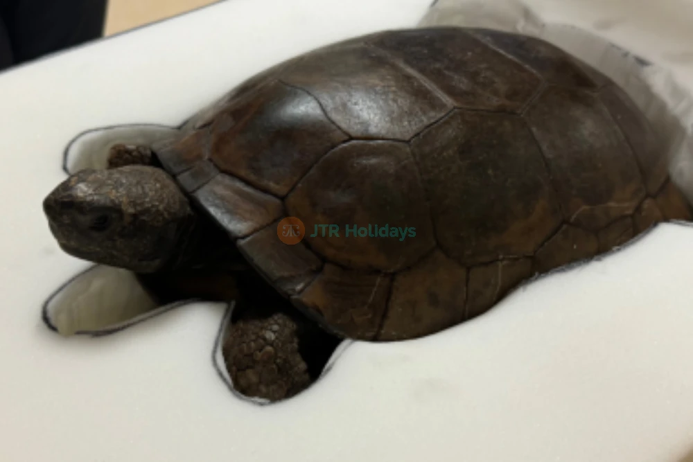 Phillip & Patricia Frost Museum of Science - Explore Miami's Top Science Museum-JTR Holidays - Image 9 of 9