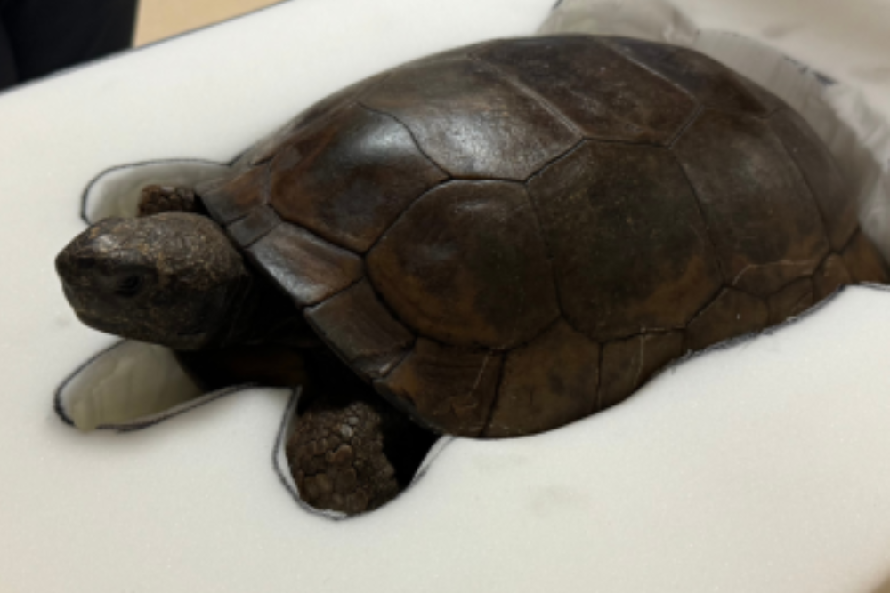 菲利普与帕特里夏·弗洛斯特科学博物馆门票 - Image 9 of 9