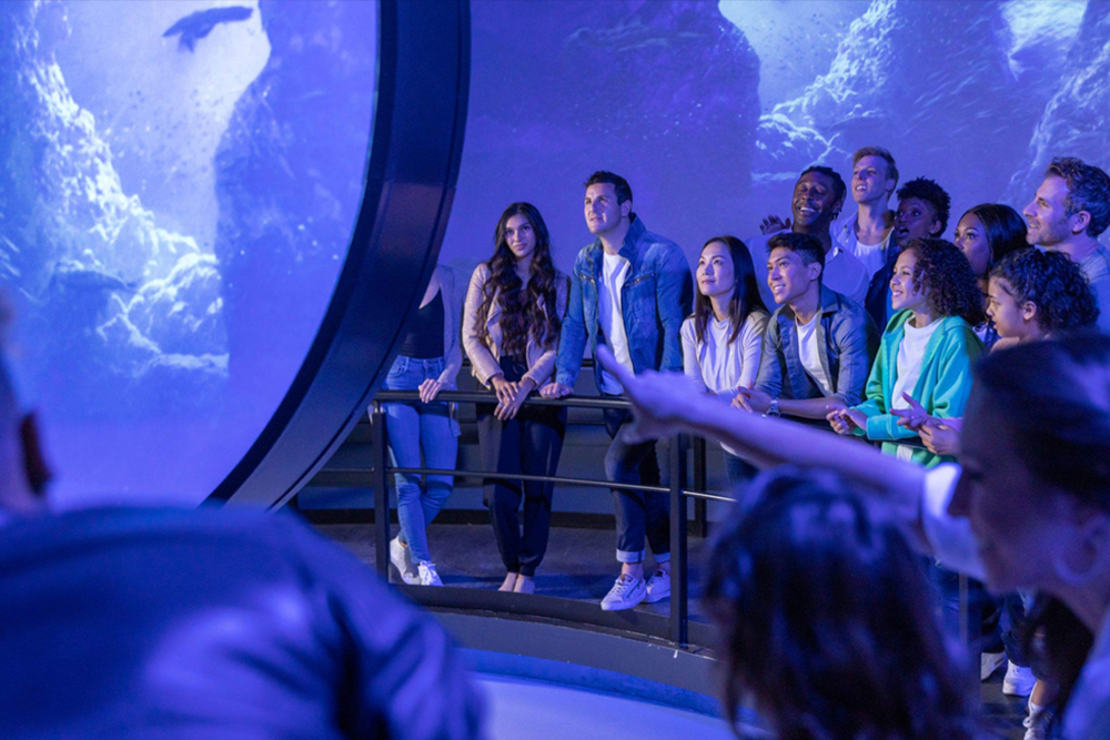 FlyOver Las Vegas: The Ultimate Flying Ride - Image 1 of 6