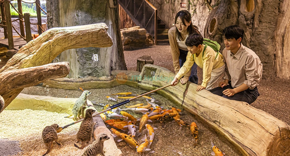 Zoolung Zoolung Hanam - Indoor Animal Theme Park Adventure - JTR Holidays - Image 1 of 5