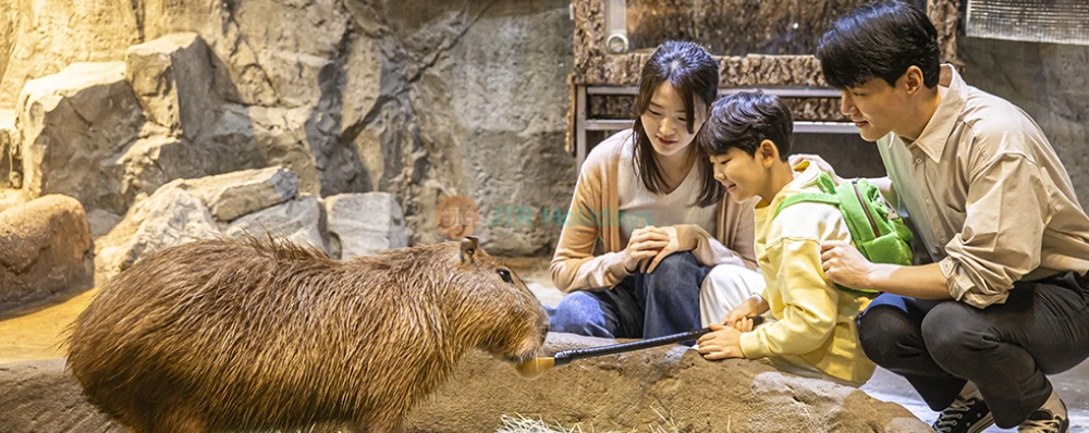 Zoolung Zoolung Hanam - Indoor Animal Theme Park Adventure - JTR Holidays - Image 3 of 5