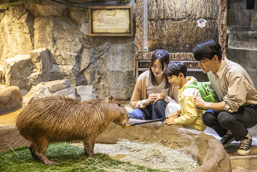 Zoolung Zoolung Hanam - Image 3 sur 5