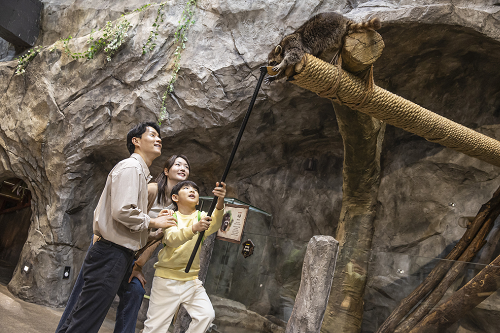 Zoolung Zoolung Hanam - Image 4 sur 5