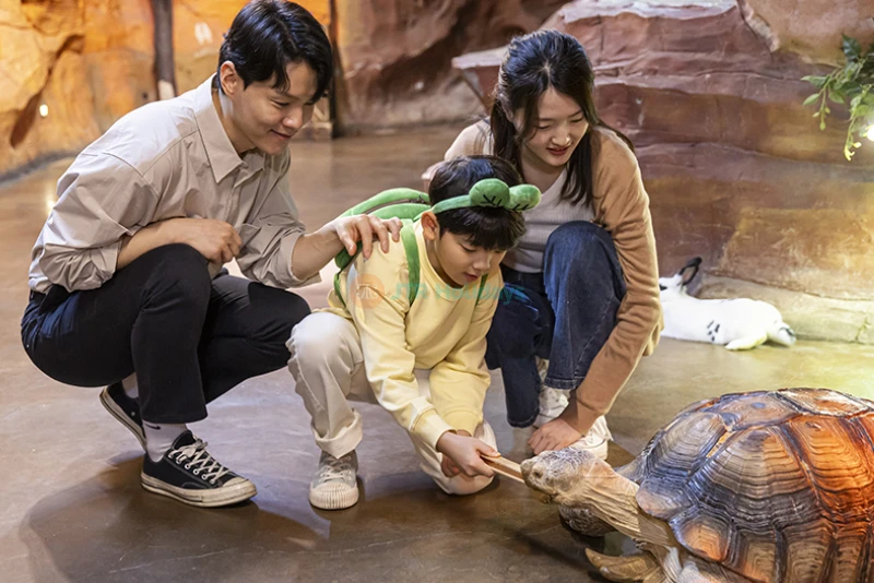 Zoolung Zoolung Hanam - Indoor Animal Theme Park Adventure - JTR Holidays - Image 6 of 7