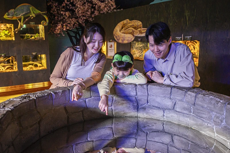 Zoolung Zoolung Hanam - Indoor Animal Theme Park Adventure - JTR Holidays - Image 7 of 7