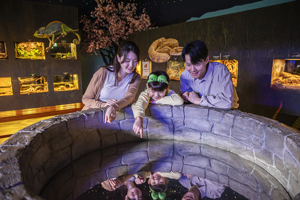 Zoolung Zoolung Hanam - Image 7 of 7