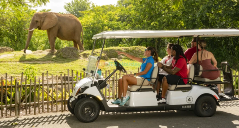 Zoo Miami -Explore Florida’s Largest Wildlife Sanctuary-JTR Holidays