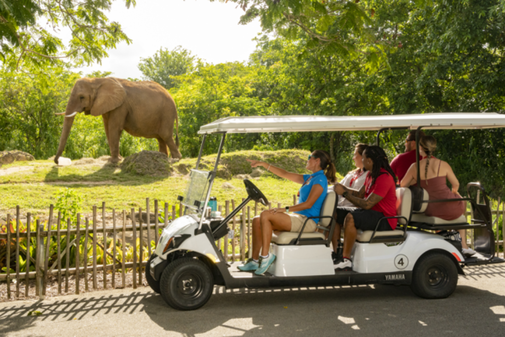 Zoo Miami - Image 1 of 5