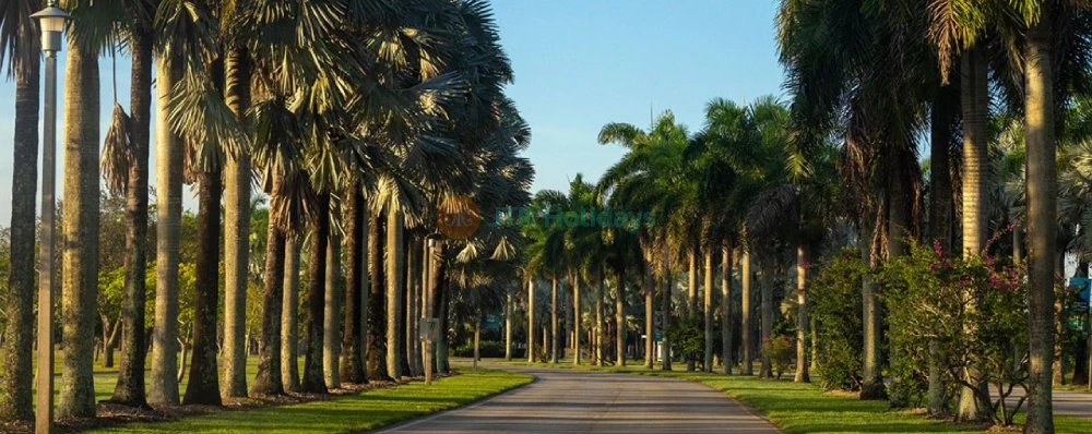 Zoo Miami -Explore Florida’s Largest Wildlife Sanctuary-JTR Holidays - Image 3 of 5