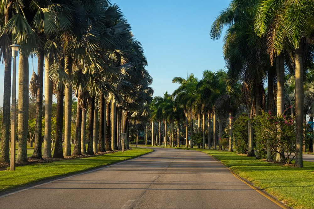 Zoo Miami - Image 3 of 8