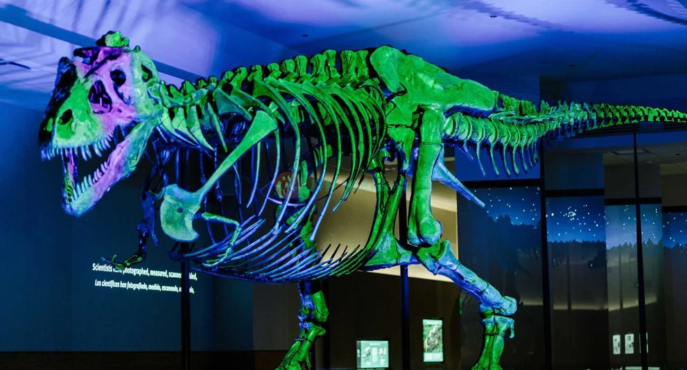 The Field Museum of Natural History Chicago Discover & Explore - JTR Holidays - Image 1 of 5
