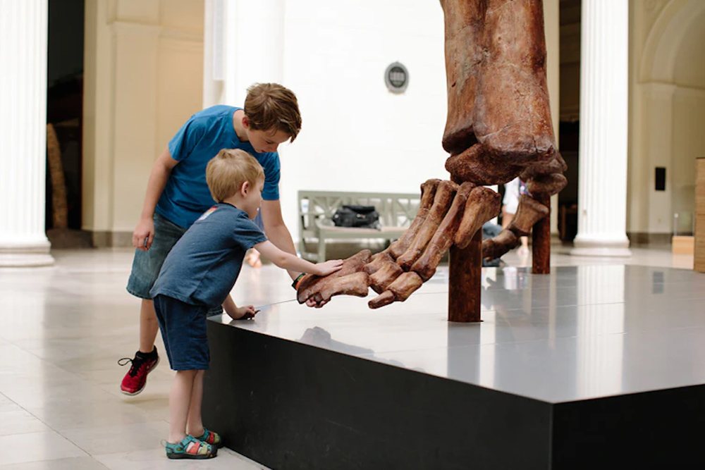 The Field Museum of Natural History Chicago - Image 2 of 5