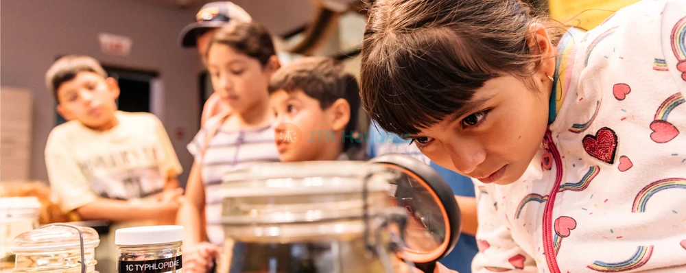 The Field Museum of Natural History Chicago Discover & Explore - JTR Holidays - Image 3 of 5