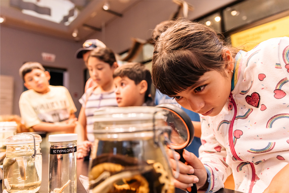 The Field Museum of Natural History Chicago - Image 3 of 5