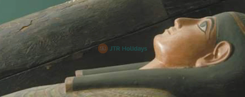 The Field Museum of Natural History Chicago Discover & Explore - JTR Holidays - Image 4 of 5