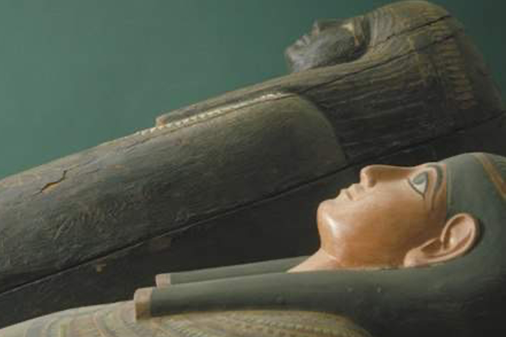 The Field Museum of Natural History Chicago - Image 4 of 5