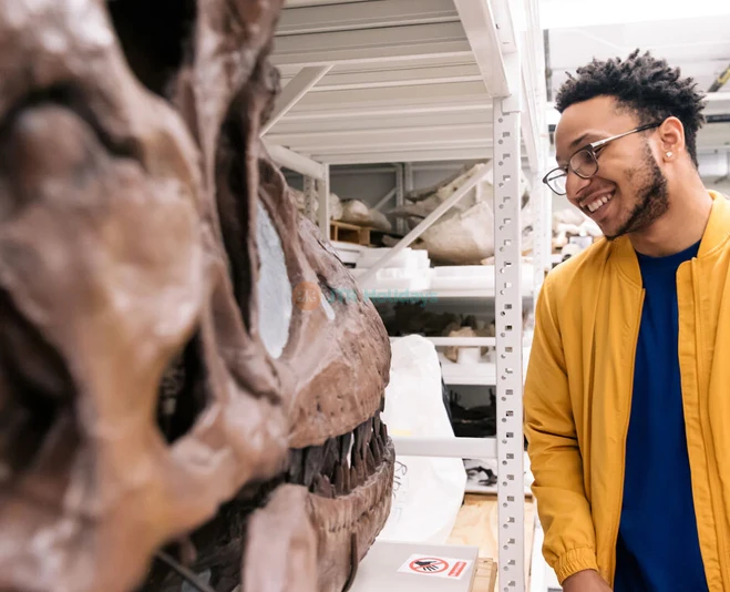 The Field Museum of Natural History Chicago Discover & Explore - JTR Holidays - Image 5 of 5