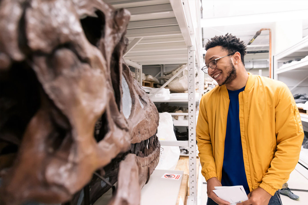 The Field Museum of Natural History Chicago - Image 5 of 5