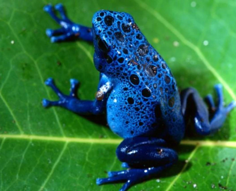 Zoo Miami -Explore Florida’s Largest Wildlife Sanctuary-JTR Holidays - Image 5 of 5