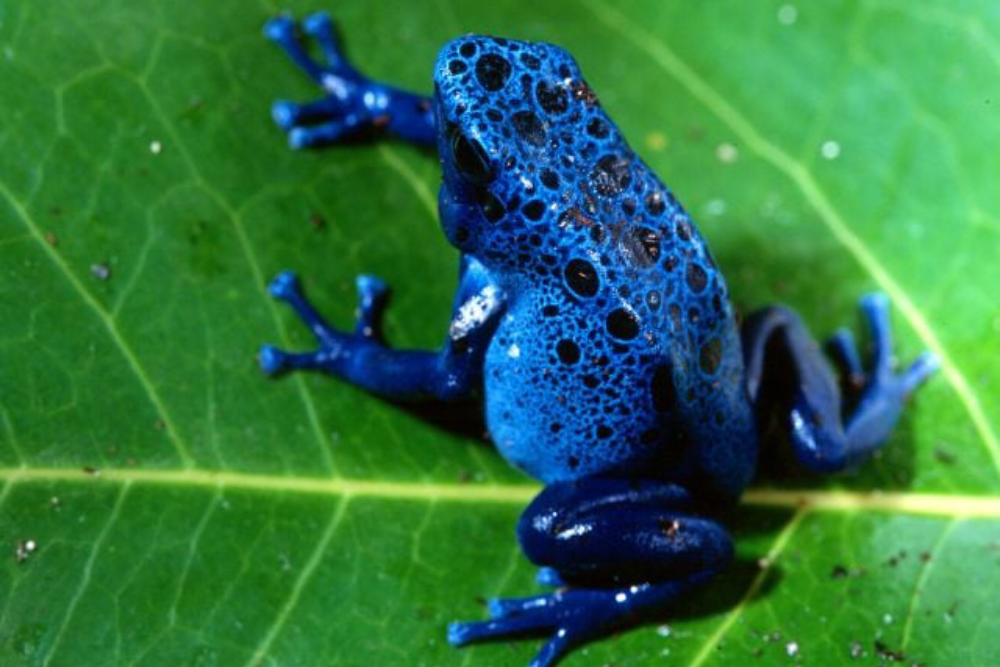 Zoo Miami - Image 5 of 8