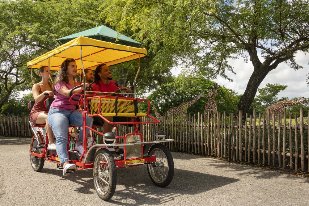 Zoo Miami - Image 8 of 8