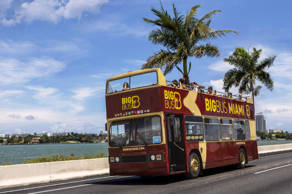 Miami Open-Top Night Bus Tour - Image 1 of 8